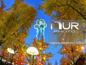 Ginkgo trees are silhouetted against the Olympic Tower in Beijing, China, on November 3, 2024. (