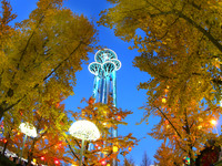 Ginkgo trees are silhouetted against the Olympic Tower in Beijing, China, on November 3, 2024. (