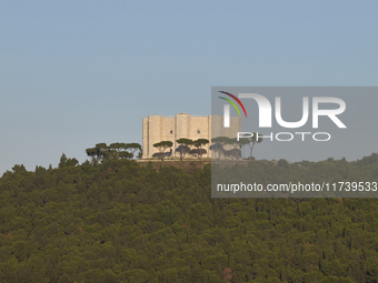 A panoramic shot captures the iconic Castel del Monte from afar, situated on a hill in the Apulian countryside. This UNESCO World Heritage s...