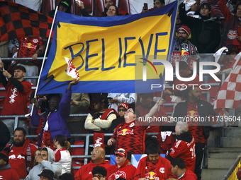 A general view of the match between Columbus and Red Bull during the MLS match at Red Bull Arena in Harris, N.J., on November 3, 2024, where...