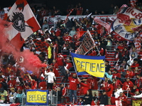 A general view of the match between Columbus and Red Bull during the MLS match at Red Bull Arena in Harris, N.J., on November 3, 2024, where...