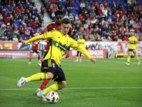 A general view of the match between Columbus and Red Bull during the MLS match at Red Bull Arena in Harris, N.J., on November 3, 2024, where...