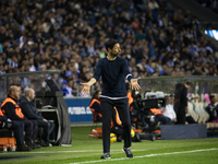 FC Porto coach Vitor Bruno gives instructions to his players during the match against Estoril at Estadio do Dragao in Porto, Portugal, on No...