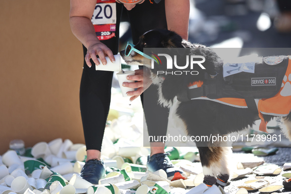 A runner stops to give her service dog water on First Avenue during the 2024 New York City Marathon in New York, N.Y., on November 3, 2024. 