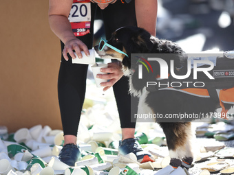 A runner stops to give her service dog water on First Avenue during the 2024 New York City Marathon in New York, N.Y., on November 3, 2024....