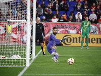 New York Red Bulls goalkeeper Carlos Coronel makes a penalty kick save to eliminate the defending MLS Cup champion Columbus Crew in Harris,...