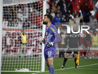 New York Red Bulls goalkeeper Carlos Coronel celebrates victory in Harris, New Jersey, on November 3, 2024. The dramatic shootout turns into...