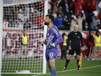 New York Red Bulls goalkeeper Carlos Coronel celebrates victory in Harris, New Jersey, on November 3, 2024. The dramatic shootout turns into...