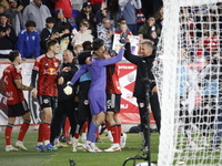 New York Red Bulls goalkeeper Carlos Coronel celebrates victory in Harris, New Jersey, on November 3, 2024. The dramatic shootout turns into...