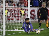 New York Red Bulls goalkeeper Carlos Coronel makes a penalty kick save to eliminate the defending MLS Cup champion Columbus Crew in Harris,...