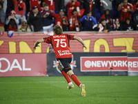 New York Red Bulls midfielder Daniel Edelia (75) celebrates the penalty kick goal that gives them a shootout victory over the Columbus Crew...