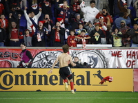 New York Red Bulls midfielder Daniel Edelia (75) celebrates the penalty kick goal that gives them a shootout victory over the Columbus Crew...