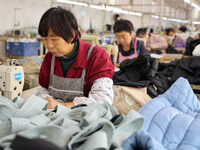 Workers make down jackets at a workshop of a garment manufacturer in Hehe town, Yangxin county, Binzhou city, East China's Shandong province...