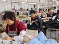 Workers make down jackets at a workshop of a garment manufacturer in Hehe town, Yangxin county, Binzhou city, East China's Shandong province...