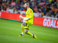 Seattle Sounders goalkeeper Stefan Frei celebrates after his team scores a goal during a playoff match between Houston Dynamo and Seattle So...