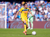 Marten de Roon of Atalanta BC during the serie Serie A Enilive match between SSC Napoli and Atalanta BC at Stadio Diego Armando Maradona on...