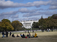 On November 4, 2024, in Washington, DC, a day before election day, the Secret Service and businesses board up the front of buildings and pla...