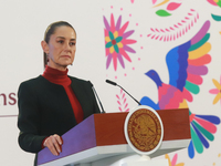 Claudia Sheinbaum Pardo, President of Mexico, speaks during a briefing conference about the United States electoral process at the National...