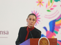 Claudia Sheinbaum Pardo, President of Mexico, speaks during a briefing conference about the United States electoral process at the National...