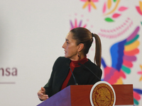 Claudia Sheinbaum Pardo, President of Mexico, speaks during a briefing conference about the United States electoral process at the National...