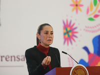 Claudia Sheinbaum Pardo, President of Mexico, speaks during a briefing conference about the United States electoral process at the National...