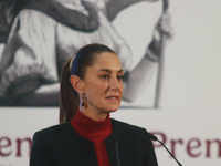 Claudia Sheinbaum Pardo, President of Mexico, speaks during a briefing conference about the United States electoral process at the National...