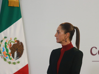 Claudia Sheinbaum Pardo, President of Mexico, speaks during a briefing conference about the United States electoral process at the National...