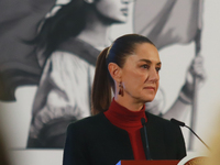 Claudia Sheinbaum Pardo, President of Mexico, speaks during a briefing conference about the United States electoral process at the National...