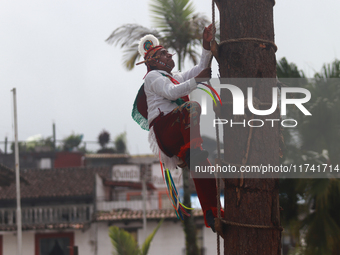 The Voladores of Cuetzalan perform a pre-Hispanic ritual ceremony that involves tying their feet with ropes and launching themselves into th...