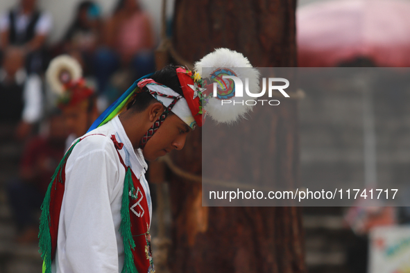 The Voladores of Cuetzalan perform a pre-Hispanic ritual ceremony that involves tying their feet with ropes and launching themselves into th...