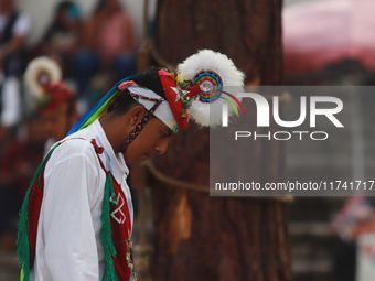 The Voladores of Cuetzalan perform a pre-Hispanic ritual ceremony that involves tying their feet with ropes and launching themselves into th...