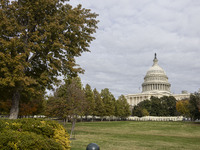 A view of the US Capitol in Washington DC, United States, on November 4, 2024, ahead of the US Presidential Election. (