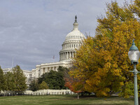 A view of the US Capitol in Washington DC, United States, on November 4, 2024, ahead of the US Presidential Election. (