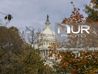 A view of the US Capitol in Washington DC, United States, on November 4, 2024, ahead of the US Presidential Election. (