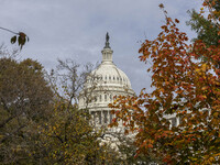 A view of the US Capitol in Washington DC, United States, on November 4, 2024, ahead of the US Presidential Election. (