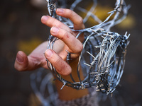 A person holds barbed wire while attending a demonstration against the Polish government's plans to suspend the right to asylum for refugees...