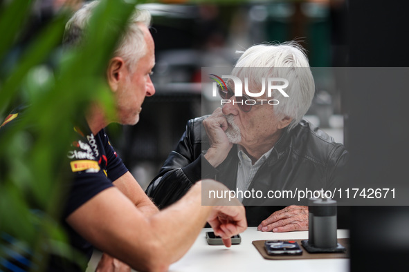 Bernie Ecclestone, former CEO of Formula One Group, poses for a portrait during the Formula 1 Grand Prix of Brazil at Autodromo Jose Carlos...