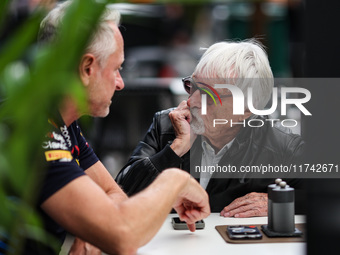 Bernie Ecclestone, former CEO of Formula One Group, poses for a portrait during the Formula 1 Grand Prix of Brazil at Autodromo Jose Carlos...