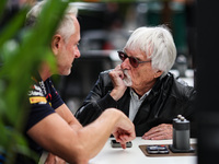 Bernie Ecclestone, former CEO of Formula One Group, poses for a portrait during the Formula 1 Grand Prix of Brazil at Autodromo Jose Carlos...