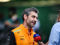 Andrea Stella, Team Principal of the McLaren F1 Team, poses for a portrait during the Formula 1 Grand Prix of Brazil at Autodromo Jose Carlo...