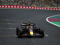 Max Verstappen of Red Bull Racing RB20 competes during the Formula 1 Grand Prix of Brazil at Autodromo Jose Carlos Pace in Sao Paulo, Brazil...