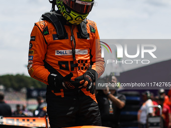 Lando Norris of the McLaren F1 Team MCL38 poses for a portrait during the Formula 1 Grand Prix of Brazil at Autodromo Jose Carlos Pace in Sa...