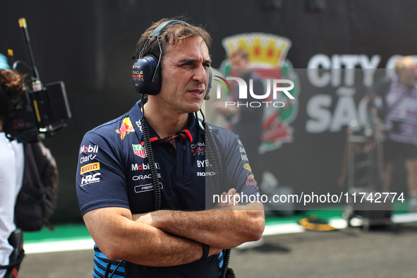 Pierre Wache, Technical Director of Red Bull Racing, poses for a portrait during the Formula 1 Grand Prix of Brazil at Autodromo Jose Carlos...