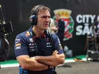 Pierre Wache, Technical Director of Red Bull Racing, poses for a portrait during the Formula 1 Grand Prix of Brazil at Autodromo Jose Carlos...