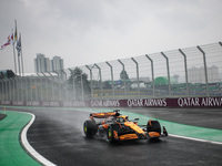 Oscar Piastri of the McLaren F1 Team drives the MCL38 during the Formula 1 Grand Prix of Brazil at Autodromo Jose Carlos Pace in Sao Paulo,...