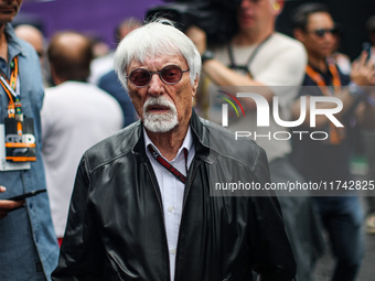 Bernie Ecclestone, former CEO of the Formula One Group, poses for a portrait during the Formula 1 Grand Prix of Brazil at Autodromo Jose Car...