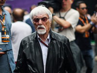 Bernie Ecclestone, former CEO of the Formula One Group, poses for a portrait during the Formula 1 Grand Prix of Brazil at Autodromo Jose Car...