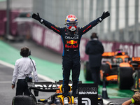 Max Verstappen of Red Bull Racing RB20 celebrates his victory during the Formula 1 Grand Prix of Brazil at Autodromo Jose Carlos Pace in Sao...