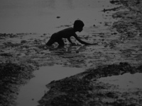 A boy catches fish in the polluted water on the banks of the river Ganges in Prayagraj, India, on November 5, 2024. (