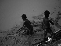 Boys catch fish in the polluted water on the banks of the river Ganges in Prayagraj, India, on November 5, 2024. (